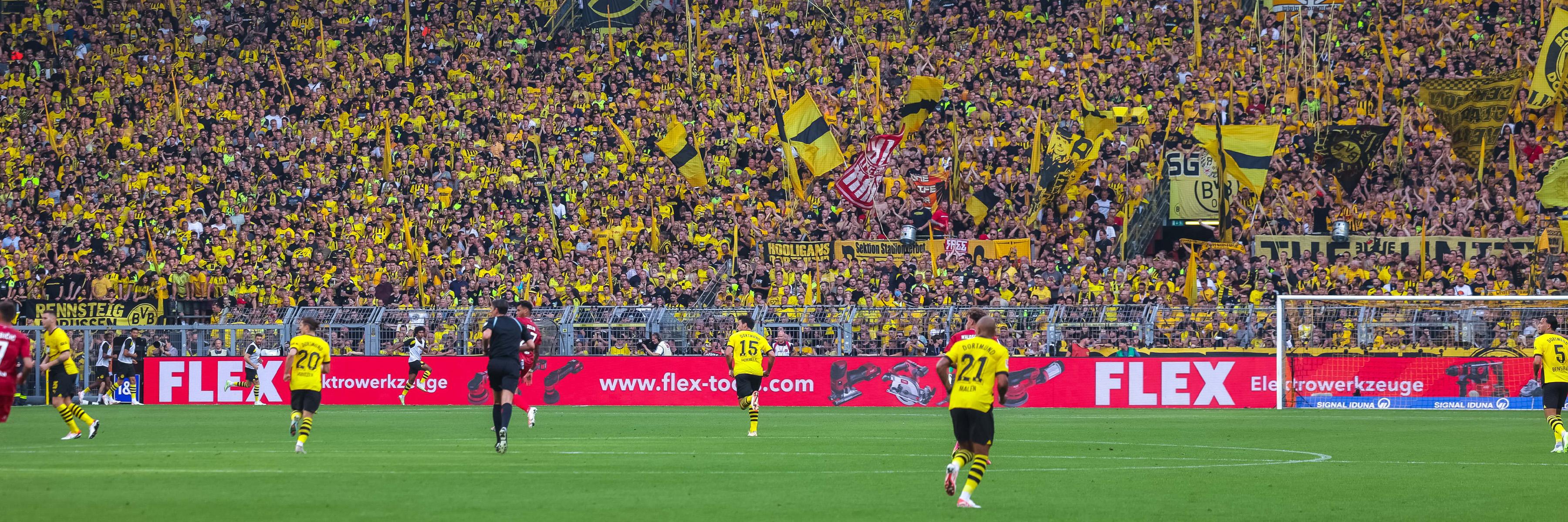 FLEX & Borussia Dortmund